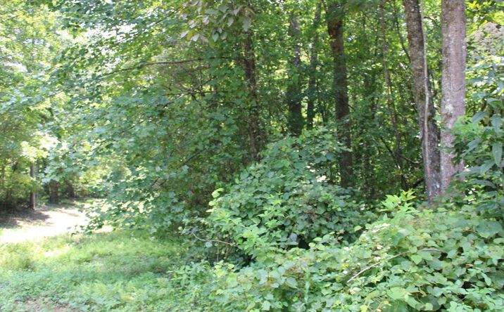 10 Acre Old Salem Road, Mineral Bluff