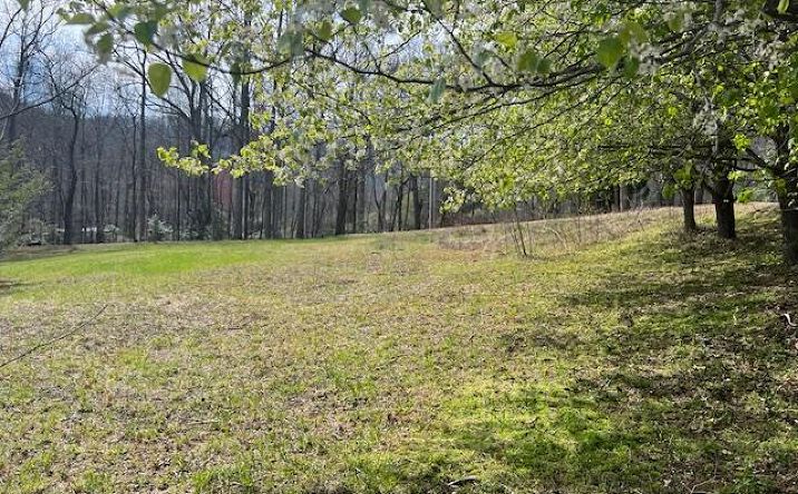 1.76 Ac. Twin Mountain Road, Hiawassee
