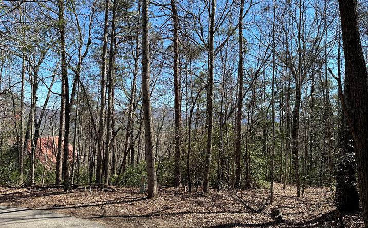 Lt 294 Broken Arrow Path, Blue Ridge