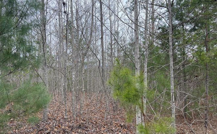 56 & 58 Paw Paw Trail, Murphy