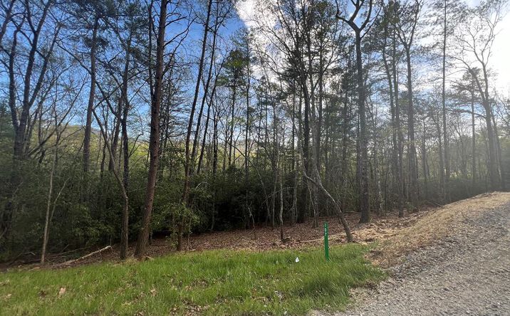 107 Sadie Way, Blairsville