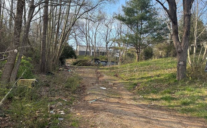 45 Waldroup Lane, Blue Ridge