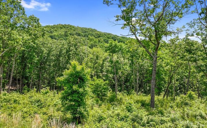 lot 14 High Summit Drive, Ellijay