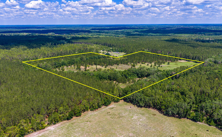 Pictures of Land property located at Northeast 12th Avenue, Hawthorne, FL 32640 for sales - image #1