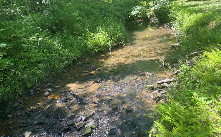 Old Johnson Road, Murphy