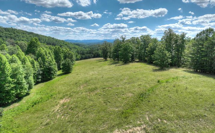 Big View Road, Mineral Bluff