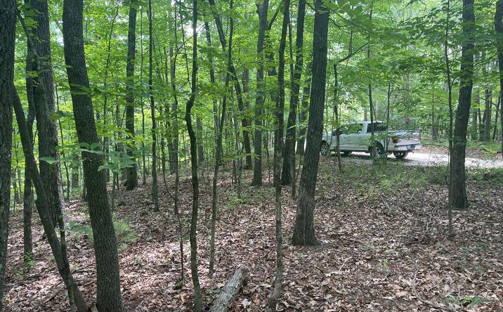Berry Hill Road, Murphy