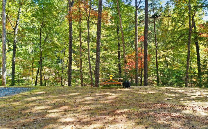 103 Hibiscus Lane, Blue Ridge