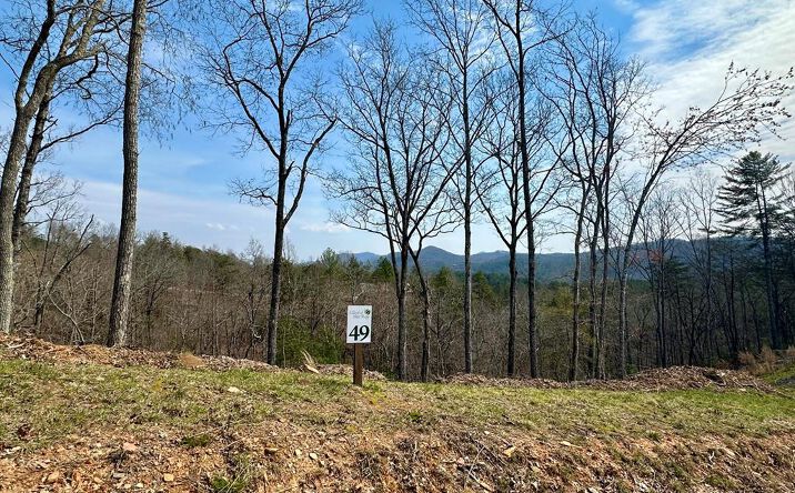 Lot 49 Mountain Laurel Ridge, Mineral Bluff