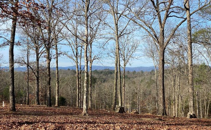 Pictures of Land property located at 10 Arbor Creek Trail, Mineral Bluff, GA 30559 for sales - image #1