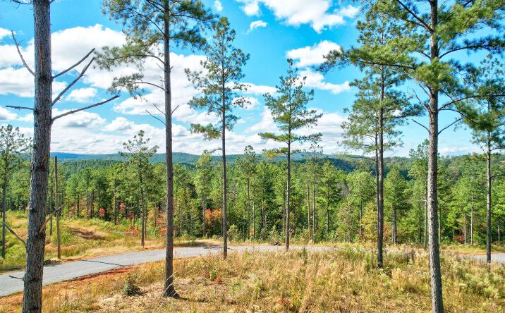 Pictures of Land property located at LT 62 Seven Mile Creek Road, Talking Rock, GA 30175 for sales - image #1
