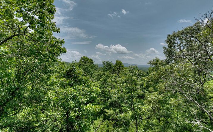 LT C Dillons Ridge Road, Morganton