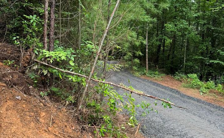 Owl Creek Road, Murphy