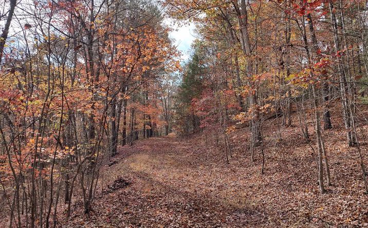 Lt 6 & 7 Cub Drive, Mineral Bluff