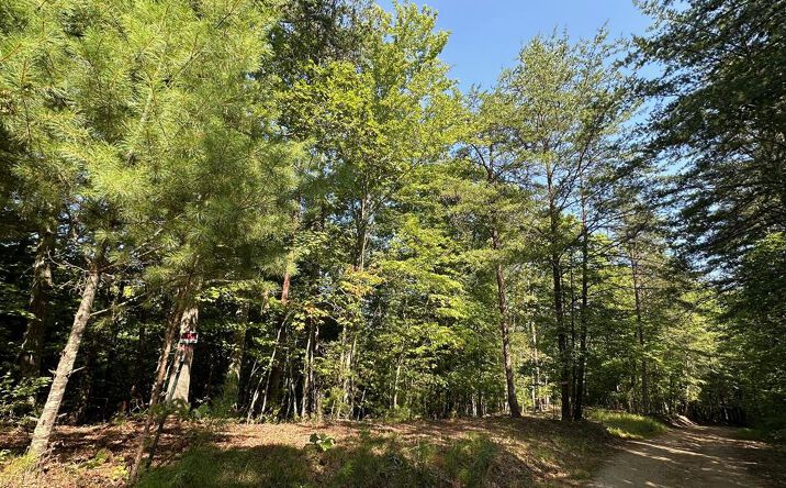 Lot 5 Bear Mountain Pass, Mineral Bluff