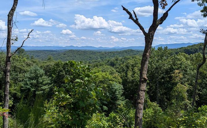 Lot 12 White Oak Circle, Blue Ridge