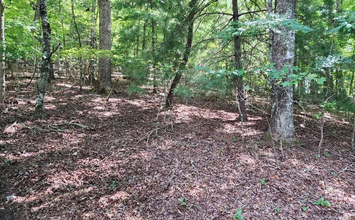 Timberline Lane, Hayesville