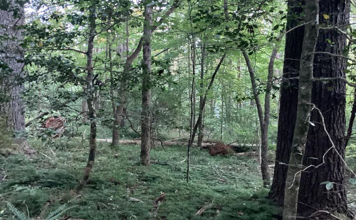 LOT 16 Hi River Road, Hiawassee