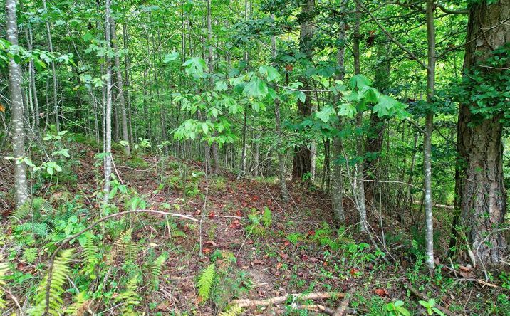Lot 73 River Ridge, Blue Ridge