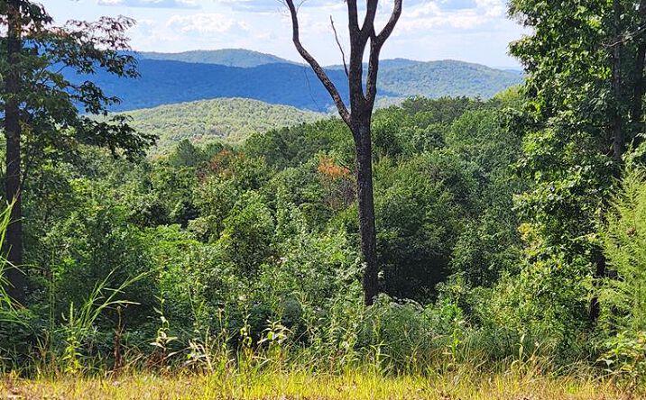 2234 S Piney Spur Road, Ellijay