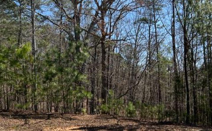 LOT 2 Hunter Ridge, Ellijay