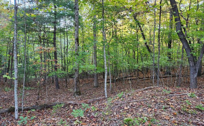 Pictures of Land property located at North View Trail, Mineral Bluff, GA 30559 for sales - image #1