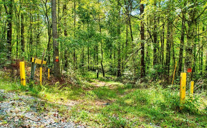684 Old Miller Rock Road, Ellijay