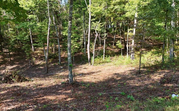 Lot 52 Hilton Drive, Ellijay