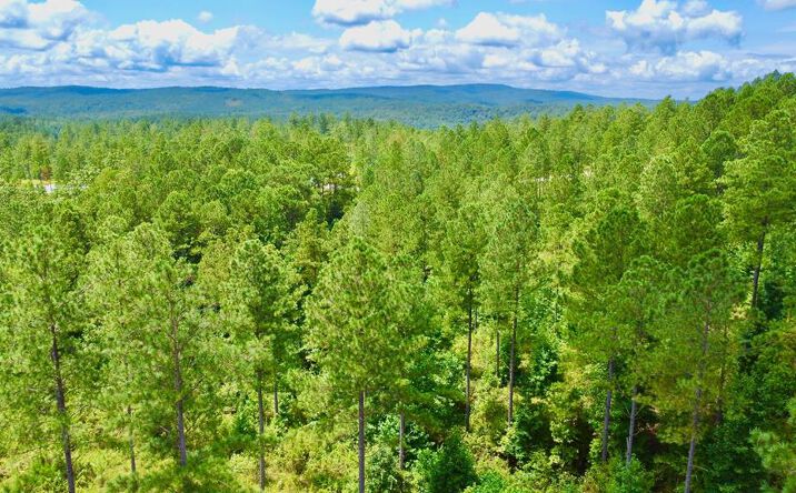 Pictures of Land property located at 82 Barrell Knot Court, Talking Rock, GA 30175 for sales - image #1