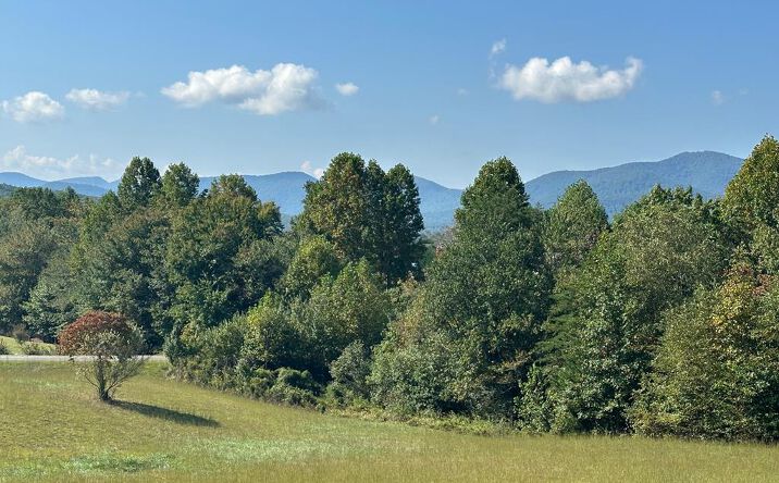 Lot 51 The Preserve At Cc, Young Harris