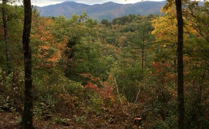 Lot 28 Big Cove Drive, Hiawassee