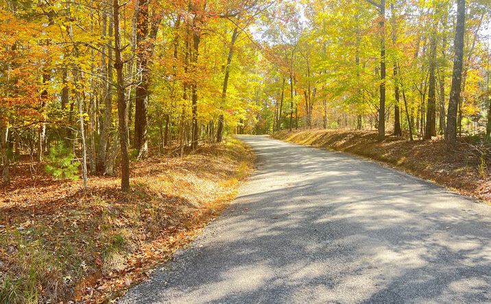 Robert Miller Lane, Mineral Bluff