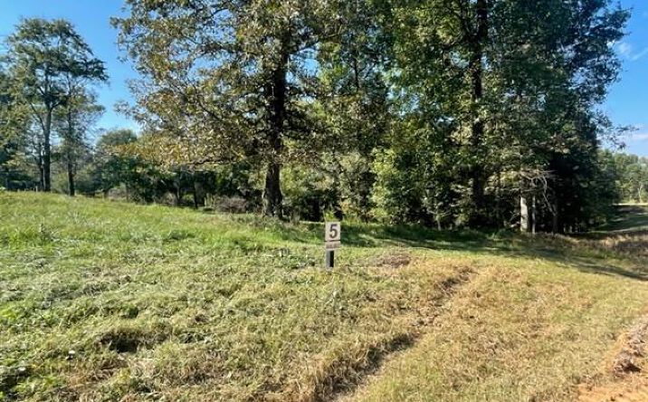 Lot 5 Clear Creek Preserve Way, Ellijay