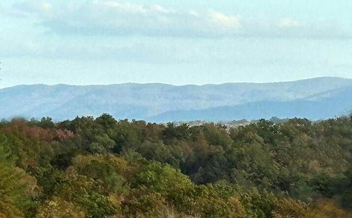 Lot 2 Mt. Springer Road, Ellijay
