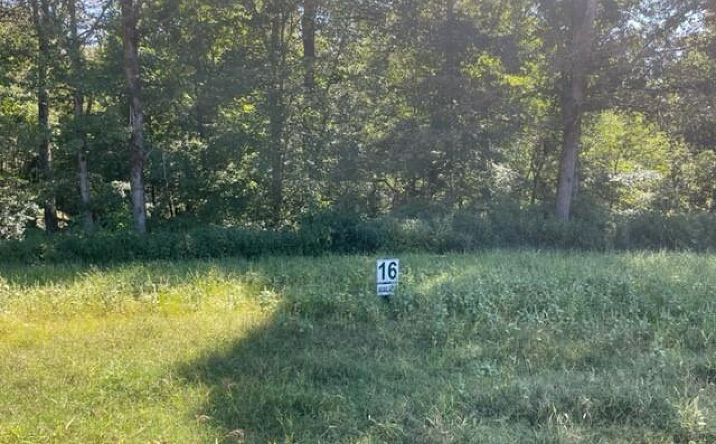 Lot 16 Clear Creek Preserve Way, Ellijay