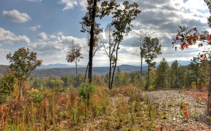 Lot 22 Mountain Laurel Ridge, Mineral Bluff