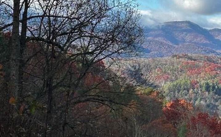 Pictures of Land property located at TBD Upper Peachtree Road, Murphy, NC 28906 for sales - image #1
