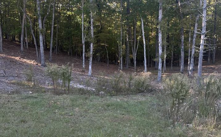 Pictures of Land property located at Lot 42 Ridge Dr, Morganton, GA 30560 for sales - image #1