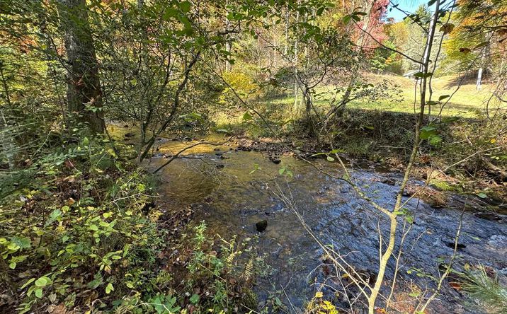 210 Big Creek Trail, Cherry Log