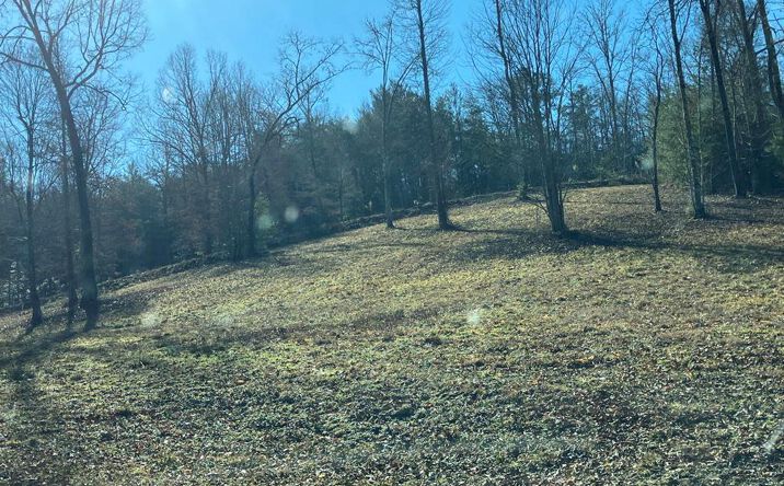 3 Lots Haskett Drive, Murphy