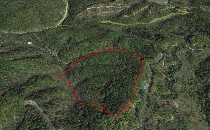 Pictures of Land, Multifamily property located at TBD Osborne Branch Road, Grundy, VA 24614 for sales - image #1