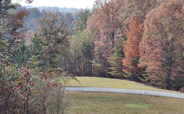 34/35 Wolf Creek Highlands, Mineral Bluff
