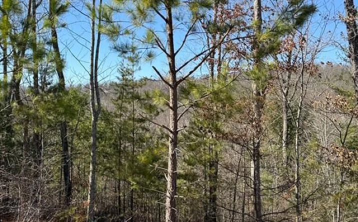 Lot #11 Long View Lane, Blue Ridge