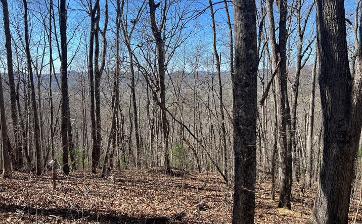 Lots 7&8 Wikle Road, Hayesville