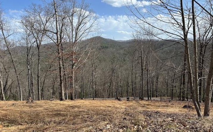 8 Thunder Road, Hayesville