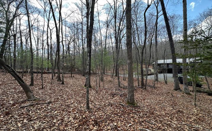 Lot 20 Black Oak Road, Cherry Log
