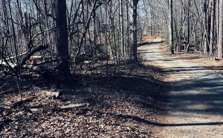 LT 74 Bice Lane, Blue Ridge