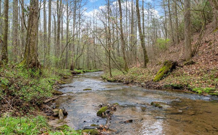 2879 Rodgers Creek Road, Ellijay