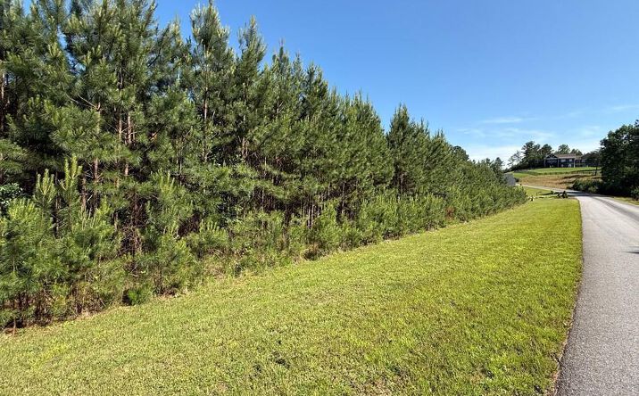 Pictures of Land property located at Lot 228 The Cove @ 1300, Blairsville, GA 30512 for sales - image #1