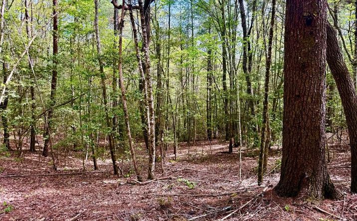 Pictures of Land property located at 59 Rainy Farm Road, Murphy, NC 28906 for sales - image #1